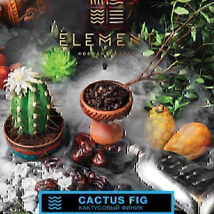 Element 25g Cactus Fig (Кактусовый финик) Вода — фото