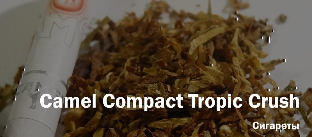 Новые тренды с Camel? Пробую "кнопку" и... Новые тренды с Camel? Пробую "кнопку" и...